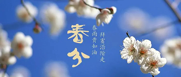 【濟(jì)寧大運(yùn)河駕校】與春遇，與疫分 (圖2)