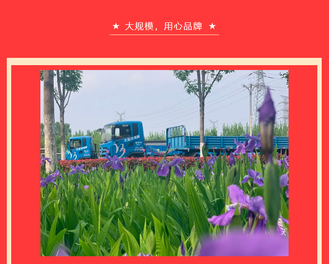 【濟(jì)寧大運(yùn)河駕?！恐戮磩趧诱撸≤噧r(jià)學(xué)大車，報(bào)名就現(xiàn)在！ (圖3)