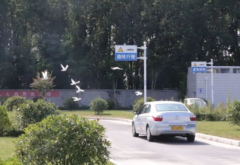 【濟(jì)寧大運河駕?！拷鹎锞旁聦W(xué)車季，期待與您的相遇~(圖3)