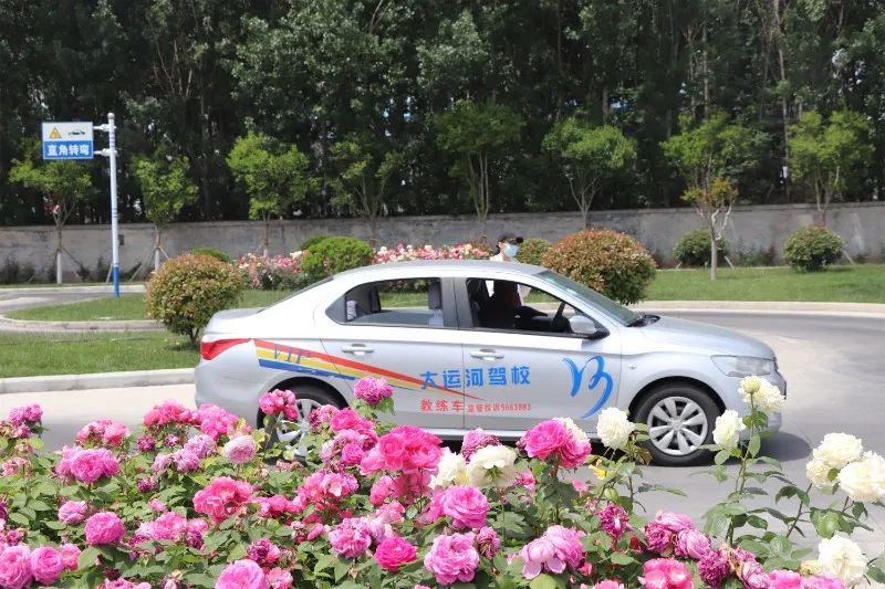 【濟寧大運河駕校】母親節(jié)丨感恩有您，陪我長大(圖2)