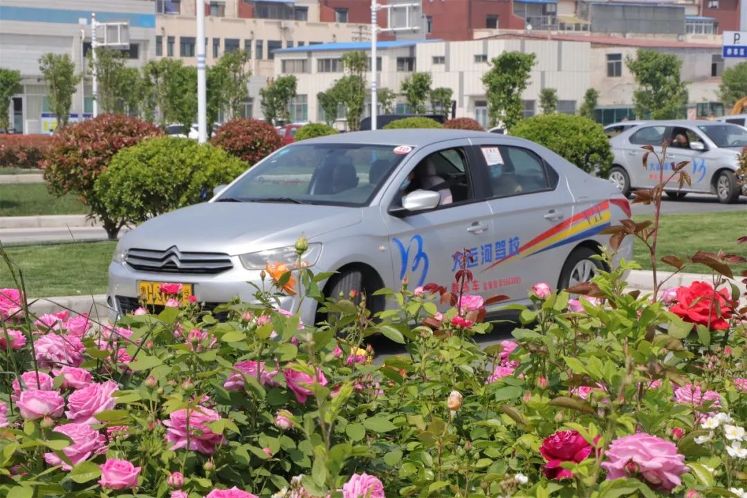 【濟(jì)寧大運(yùn)河駕?！康谑畬谩皩W(xué)車夏令營(yíng)”火爆開啟！(圖1)