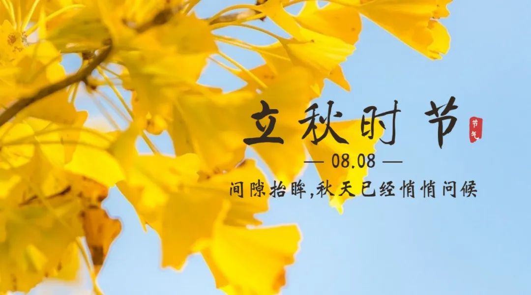 【濟寧大運河駕校】保留夏的熱情，奔向收獲的秋天！(圖3)