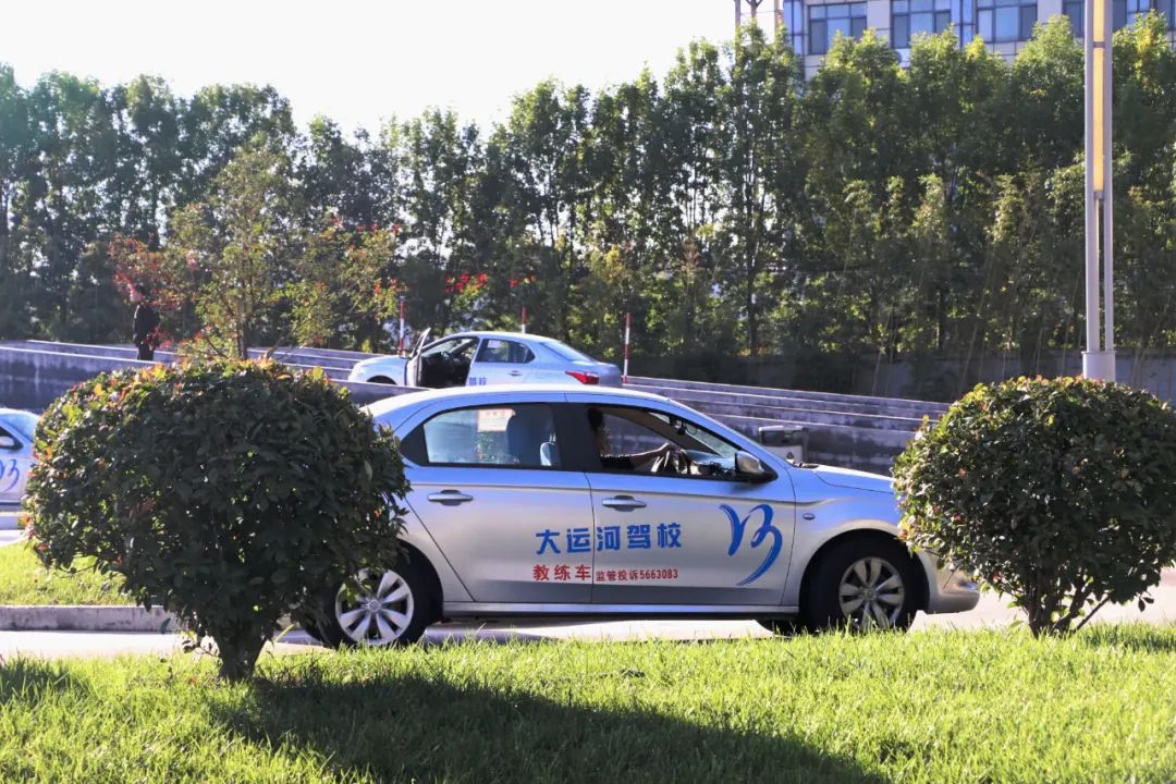 【濟(jì)寧大運(yùn)河駕校】才感晚秋，忽而立冬丨共賞校園初冬美景~(圖7)