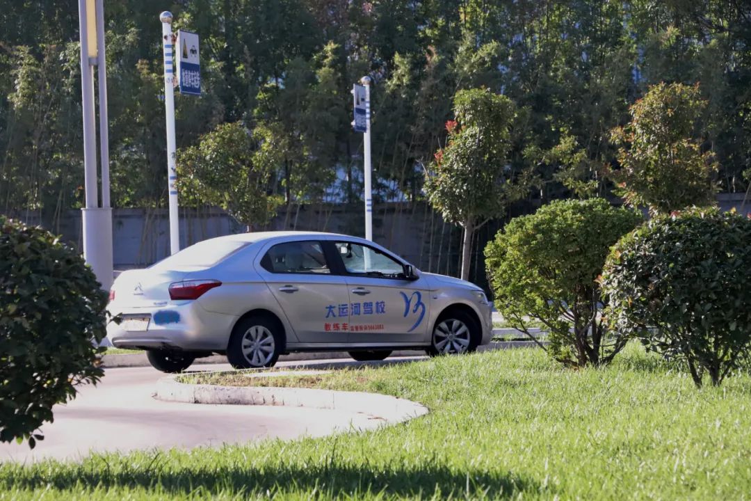 【濟(jì)寧大運(yùn)河駕校】才感晚秋，忽而立冬丨共賞校園初冬美景~(圖10)
