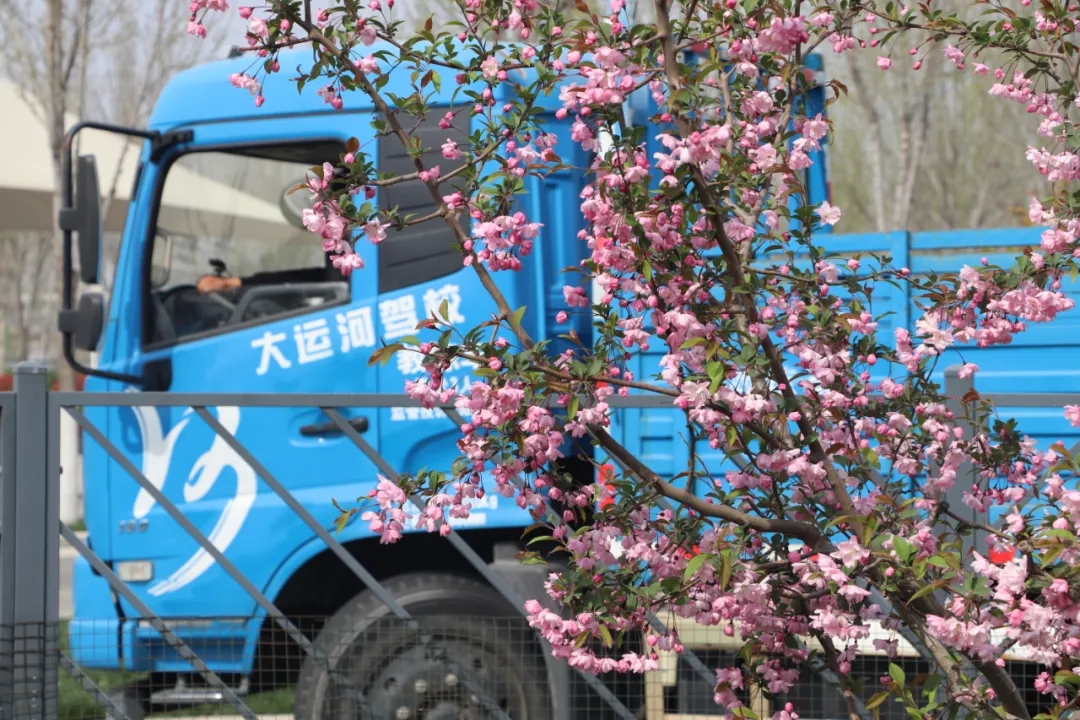 【濟(jì)寧大運(yùn)河駕校】不負(fù)好春光，學(xué)車正當(dāng)時(shí)！(圖2)