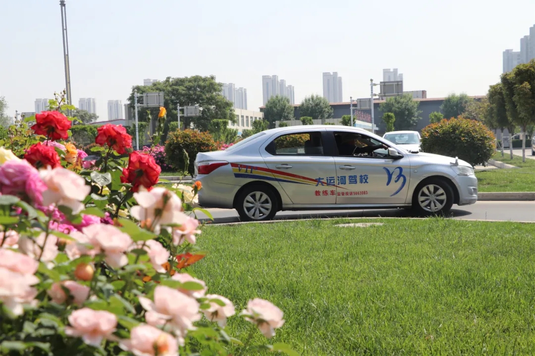 【濟寧大運河駕?！俊俺跸摹毙∶篮茫逶聦W(xué)車正當(dāng)時~(圖2)