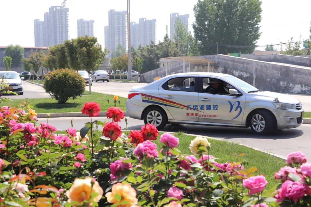 【濟寧大運河駕?！俊俺跸摹毙∶篮?，五月學(xué)車正當(dāng)時~(圖5)