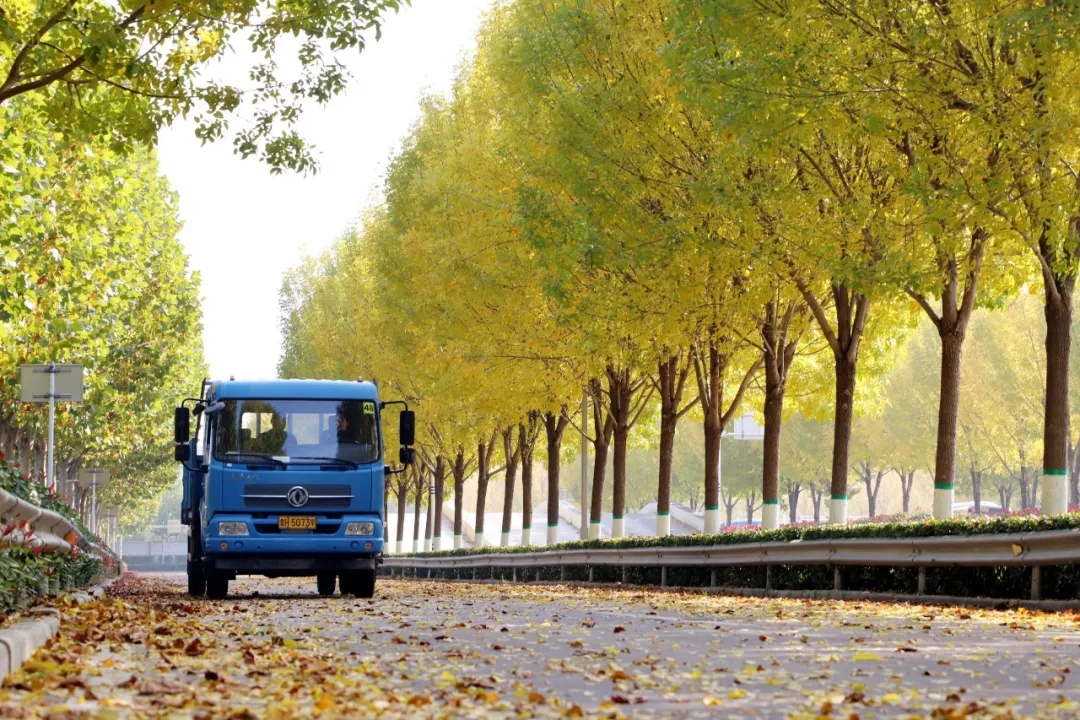 賞校園秋日盛景，享大車班型升級(jí)福利——學(xué)車就現(xiàn)在！(圖3)