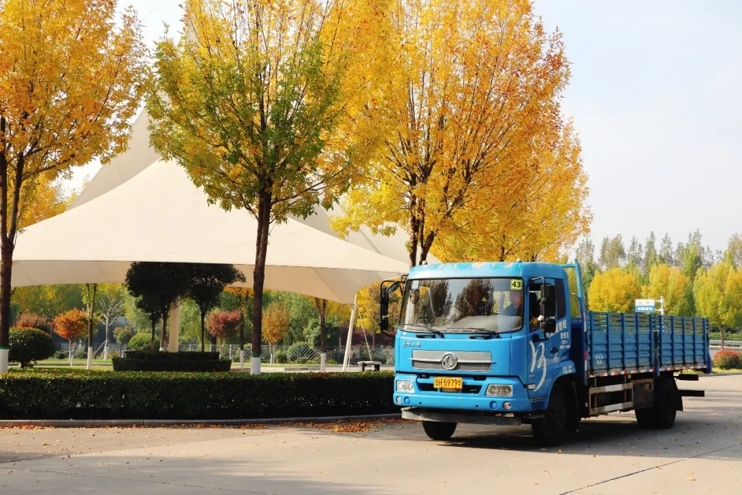 賞校園秋日盛景，享大車班型升級(jí)福利——學(xué)車就現(xiàn)在！(圖7)