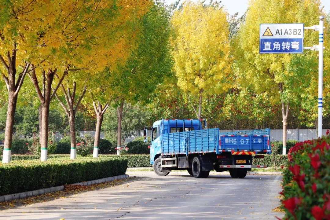 賞校園秋日盛景，享大車班型升級(jí)福利——學(xué)車就現(xiàn)在！(圖9)